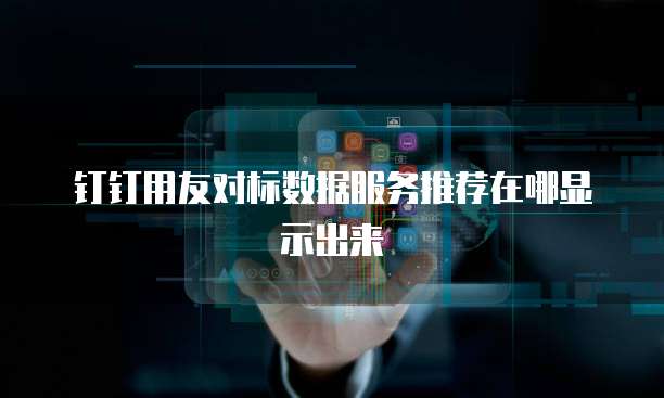钉钉用友对标数据服务推荐在哪显示出来