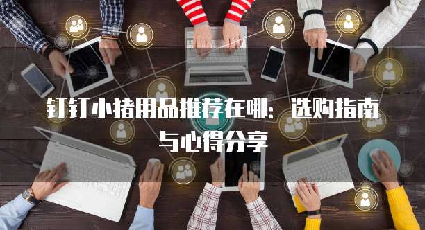 钉钉小猪用品推荐在哪:选购指南与心得分享