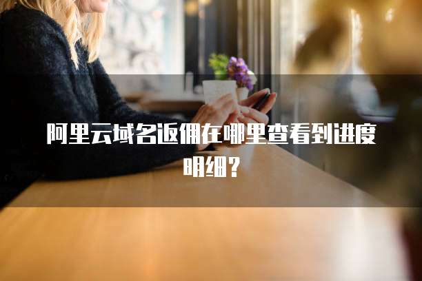 阿里云域名返佣在哪里查看到进度明细?