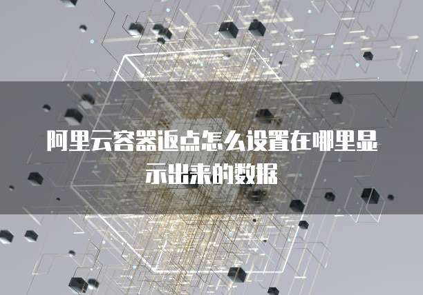 阿里云容器返点怎么设置在哪里显示出来的数据