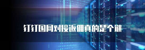钉钉国网对接返佣真的是个谜
