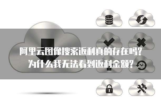 阿里云图像搜索返利真的存在吗?为什么我无法看到返利金额?