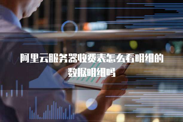 阿里云服务器收费表怎么看明细的数据明细吗