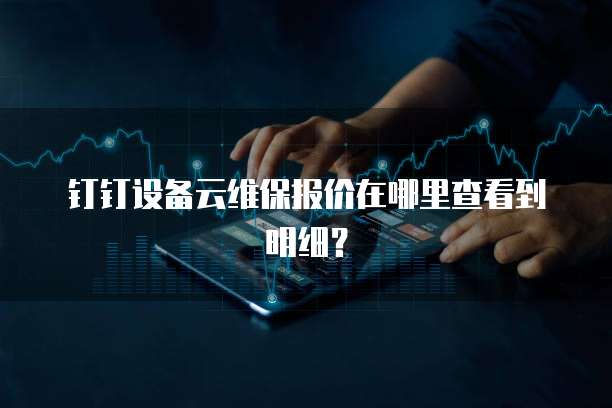 钉钉设备云维保报价在哪里查看到明细?