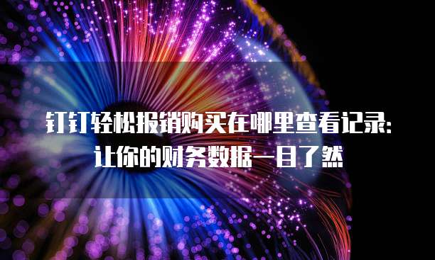 钉钉轻松报销购买在哪里查看记录:让你的财务数据一目了然