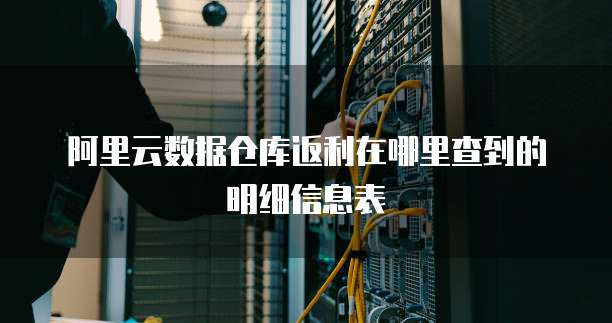 阿里云数据仓库返利在哪里查到的明细信息表