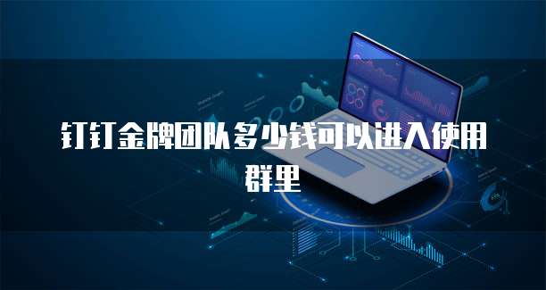 钉钉金牌团队多少钱可以进入使用群里