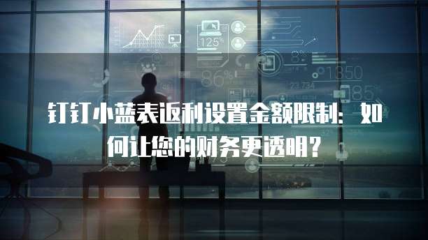 钉钉小蓝表返利设置金额限制:如何让您的财务更透明?