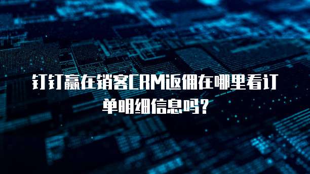 钉钉赢在销客CRM返佣在哪里看订单明细信息吗?