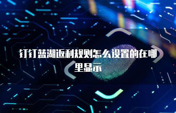 钉钉蓝湖返利规则怎么设置的在哪里显示