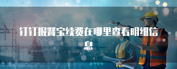 钉钉报餐宝续费在哪里查看明细信息
