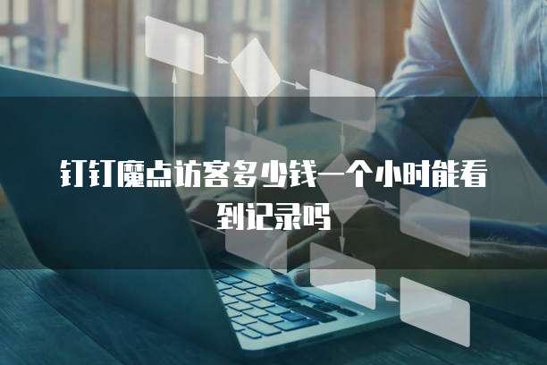 钉钉魔点访客多少钱一个小时能看到记录吗