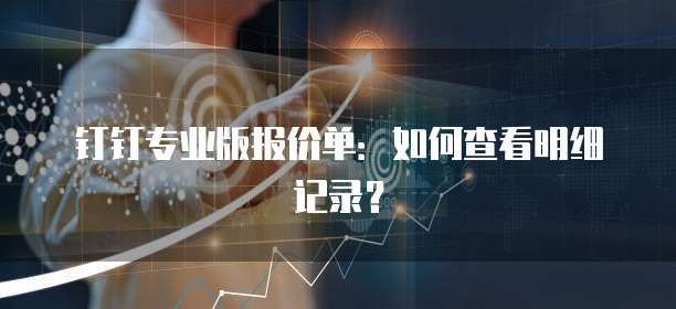 钉钉专业版报价单：如何查看明细记录？