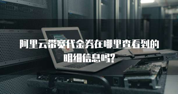 阿里云带宽代金券在哪里查看到的明细信息吗?