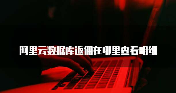 阿里云数据库返佣在哪里查看明细