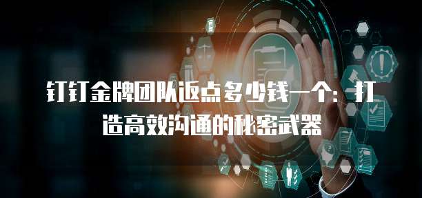 钉钉金牌团队返点多少钱一个:打造高效沟通的秘密武器