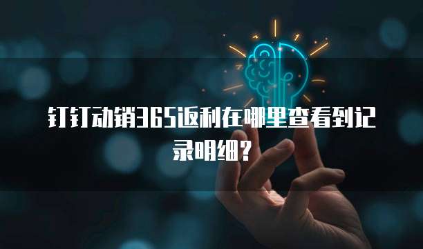 钉钉动销365返利在哪里查看到记录明细?