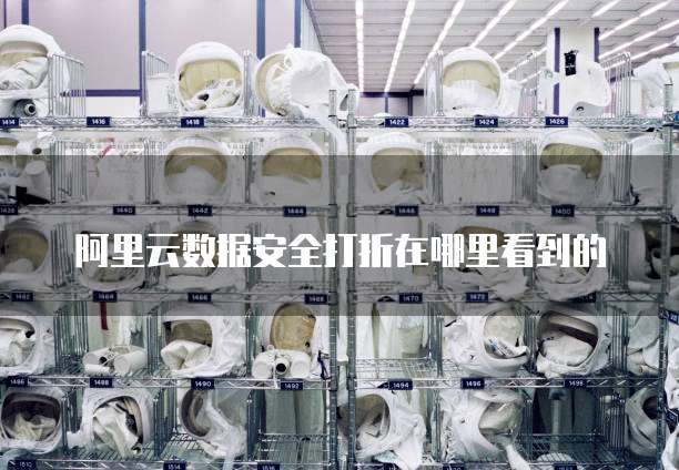 阿里云数据安全打折在哪里看到的
