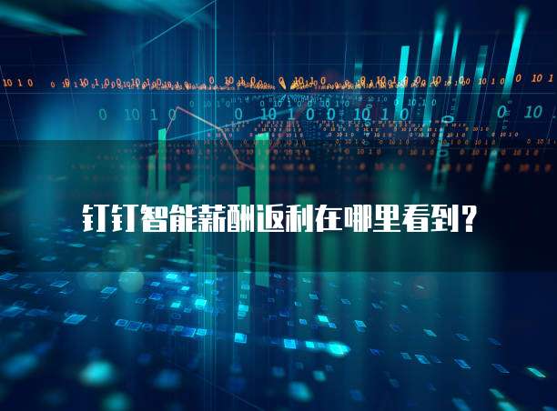 钉钉智能薪酬返利在哪里看到?
