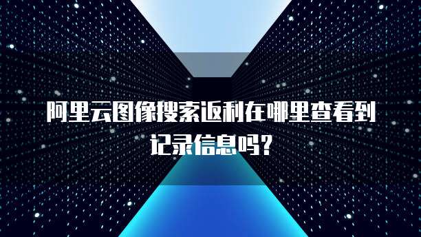 阿里云图像搜索返利在哪里查看到记录信息吗?