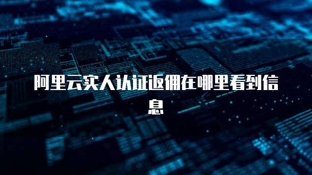 阿里云实人认证返佣在哪里看到信息