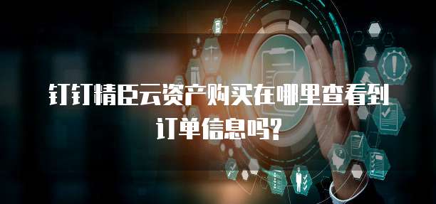 钉钉精臣云资产购买在哪里查看到订单信息吗?