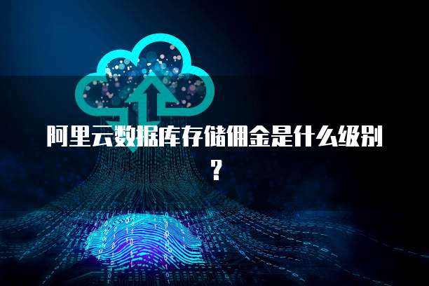 阿里云数据库存储佣金是什么级别?