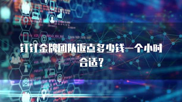 钉钉金牌团队返点多少钱一个小时合适?