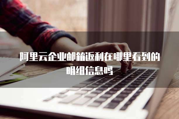 阿里云企业邮箱返利在哪里看到的明细信息吗