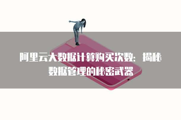 阿里云大数据计算购买次数:揭秘数据管理的秘密武器