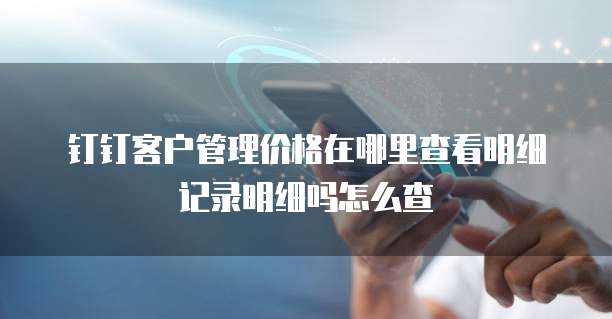 钉钉客户管理价格在哪里查看明细记录明细吗怎么查
