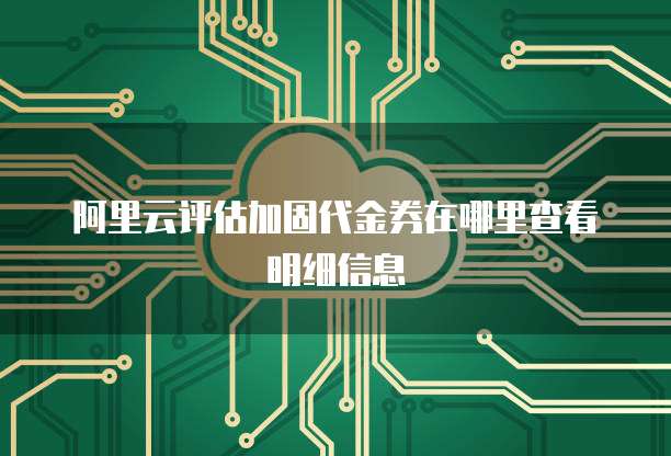 阿里云评估加固代金券在哪里查看明细信息