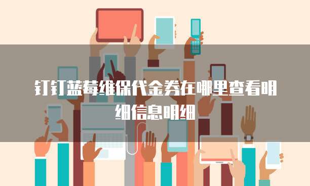 钉钉蓝莓维保代金券在哪里查看明细信息明细
