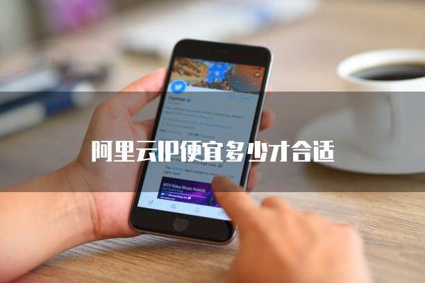 阿里云IP便宜多少才合适