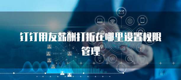 钉钉用友薪酬打折在哪里设置权限管理