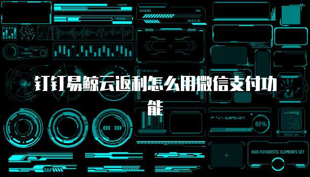 钉钉易鲸云返利怎么用微信支付功能