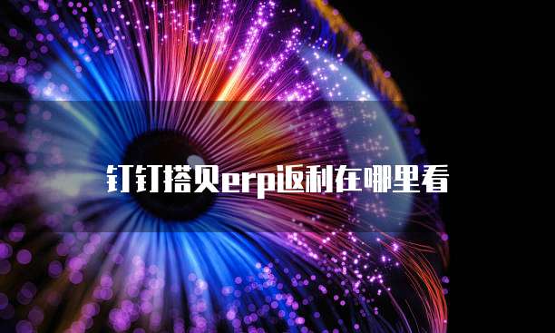 钉钉搭贝erp返利在哪里看