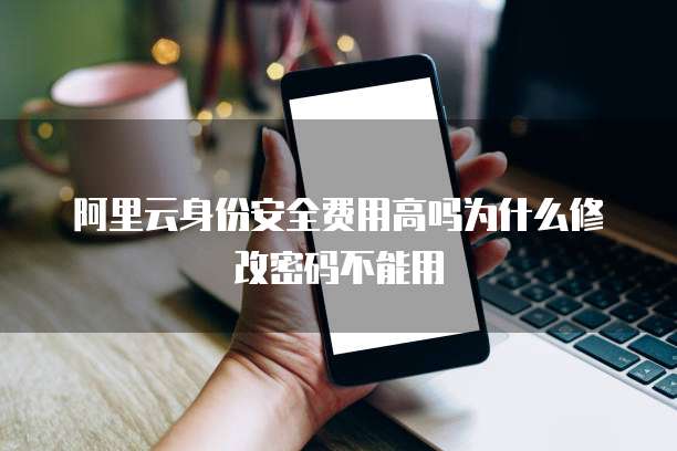 阿里云身份安全费用高吗为什么修改密码不能用