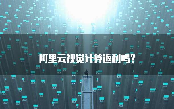 阿里云视觉计算返利吗?