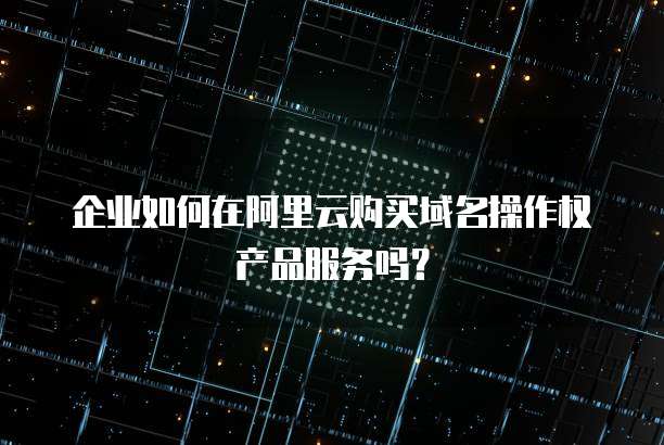 企业如何在阿里云购买域名操作权产品服务吗?