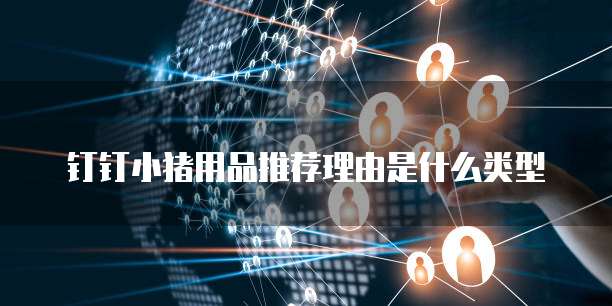 钉钉小猪用品推荐理由是什么类型
