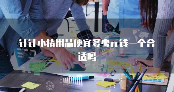 钉钉小猪用品便宜多少元钱一个合适吗