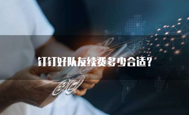 钉钉好队友续费多少合适?