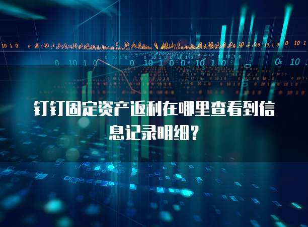 钉钉固定资产返利在哪里查看到信息记录明细?