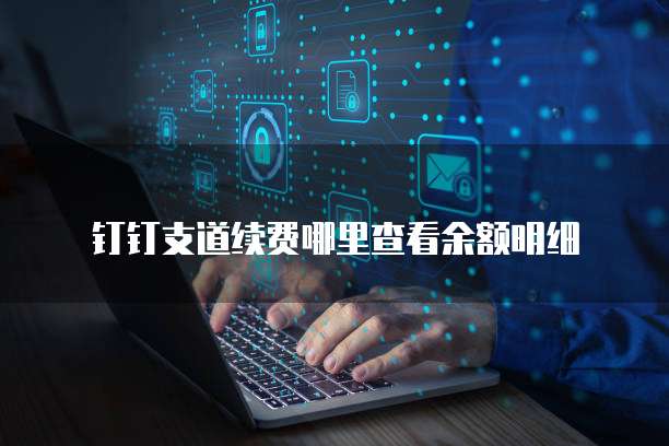 钉钉支道续费哪里查看余额明细