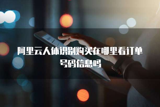 阿里云人体识别购买在哪里看订单号码信息吗