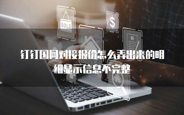 钉钉国网对接报价怎么弄出来的明细显示信息不完整