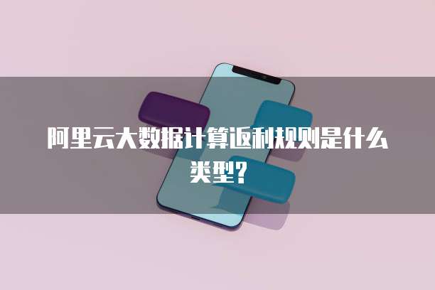 阿里云大数据计算返利规则是什么类型?