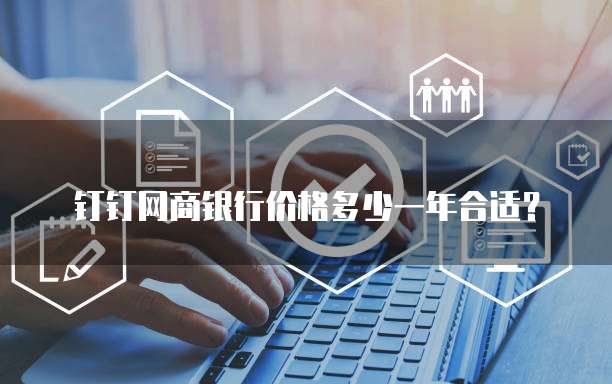 钉钉网商银行价格多少一年合适?