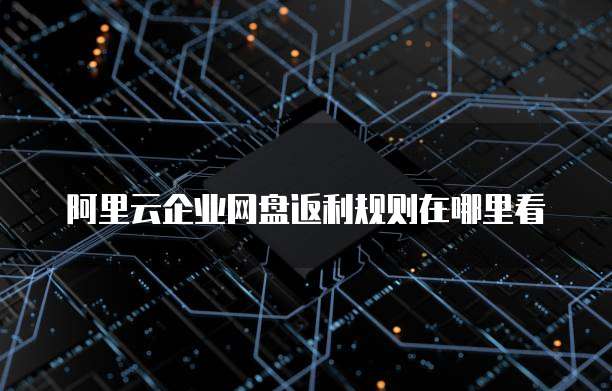 阿里云企业网盘返利规则在哪里看